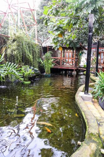 hotel pesona merak