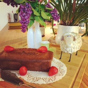 hotel bosquet pau centre