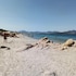 olbia