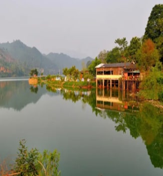 qing gu ju