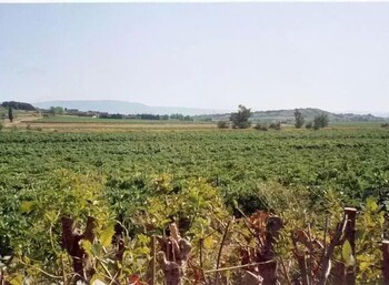 Domaine Du Siestou,Domaine Du Siestou,0 star