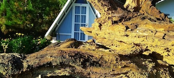 tuyet hoa hon bo bungalow