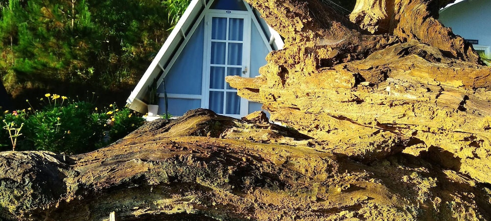 tuyet hoa hon bo bungalow