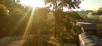 tuyet hoa hon bo bungalow