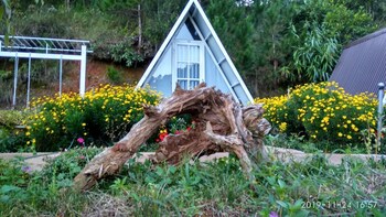 tuyet hoa hon bo bungalow