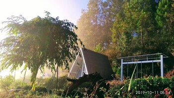 tuyet hoa hon bo bungalow