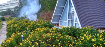 tuyet hoa hon bo bungalow