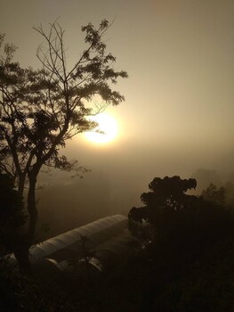 tuyet hoa hon bo bungalow