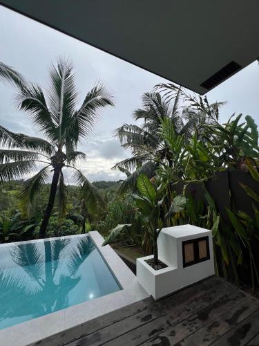 mango tree siargao