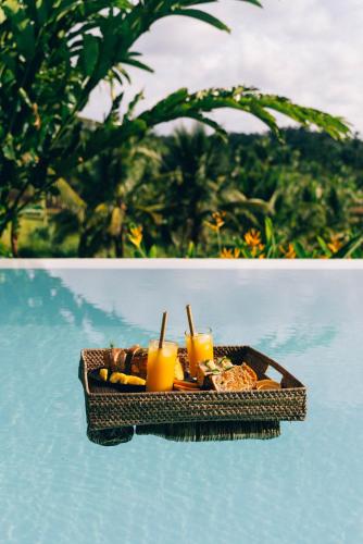 mango tree siargao