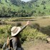 virunga homestay and campsites