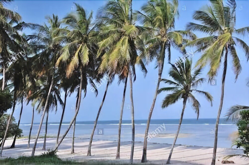 diani beach