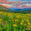 gunnison