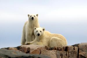 radisson blu polar hotel spitsbergen