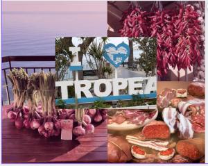appartamenti a tropea