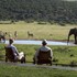 gorah elephant camp