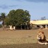 gorah elephant camp