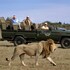 gorah elephant camp