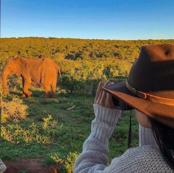 gorah elephant camp