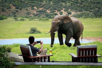 gorah elephant camp