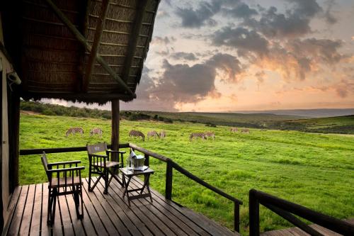 gorah elephant camp