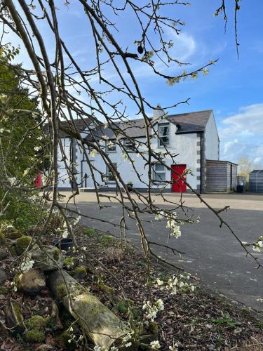 willow house bed and breakfast and orchard studios self catering