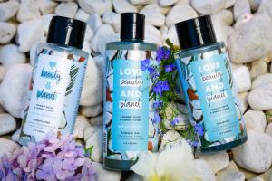 willow house bed and breakfast and orchard studios self catering