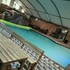 romans rest guest house