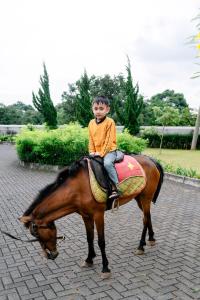 beth kasegaran theresia