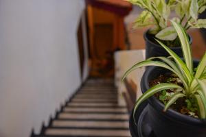 Wagon Wheel Inn - Hostel,Galle>>Boossa,2 star