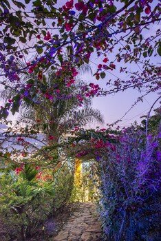 sunset palm lodge