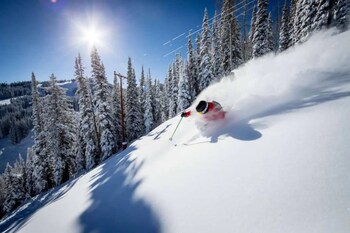 holt billionaire mountain