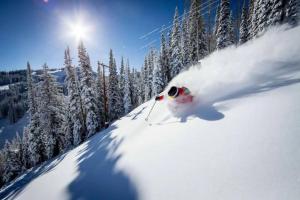 holt billionaire mountain