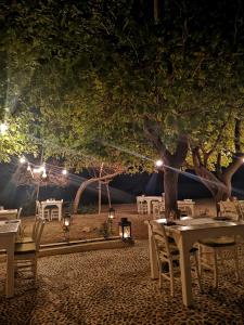 yonca lodge