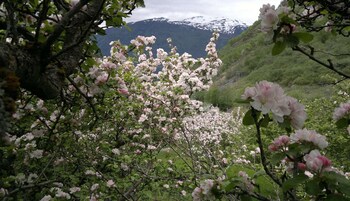 fjord