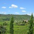 corte tamellini