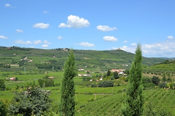 soave