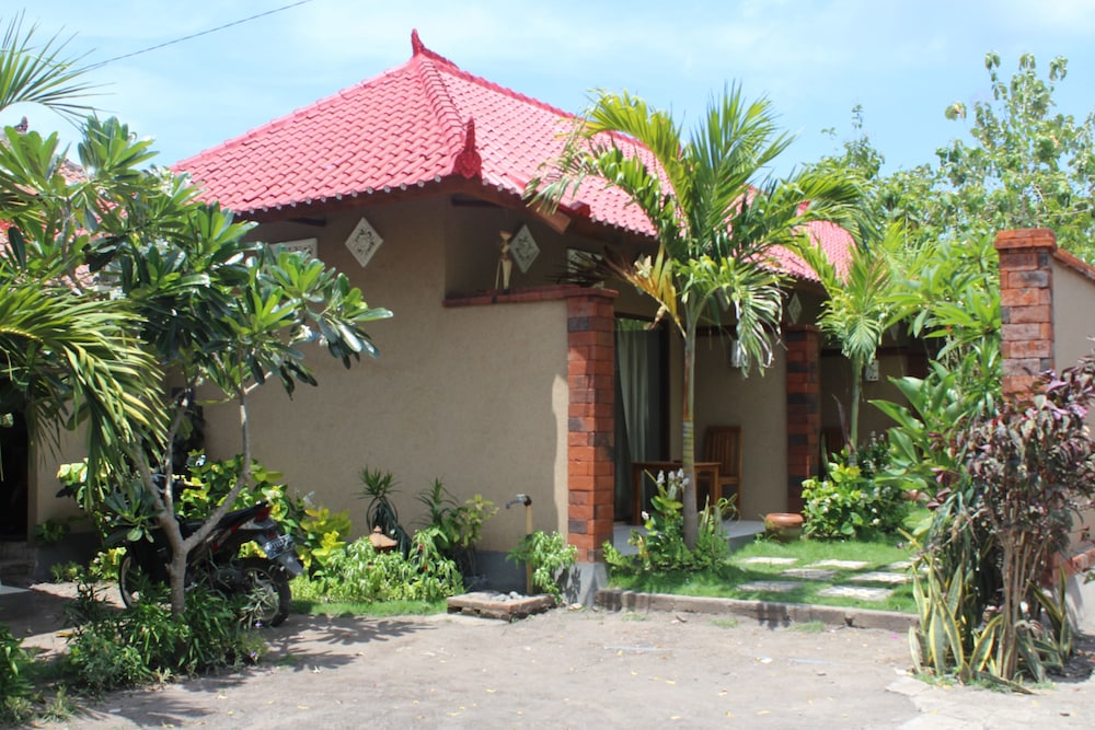 menjangan homestay