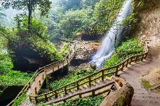 xitou tianpin homestay