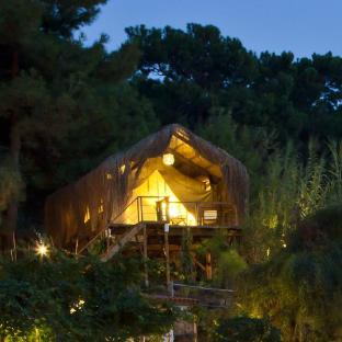 perdue hotel adults only