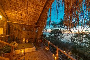 perdue hotel adults only