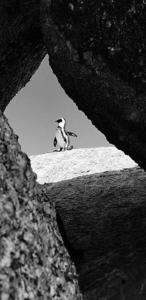 sunset beach backpackers