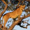 sungulwane private game lodge