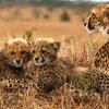 sungulwane private game lodge