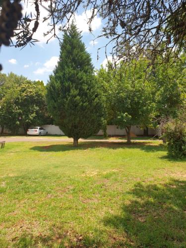 rose guesthouse klerksdorp