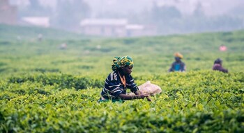 the sudbury villa nuwaraeliya