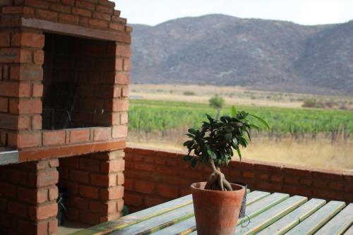 otavi vineyards self catering and camping