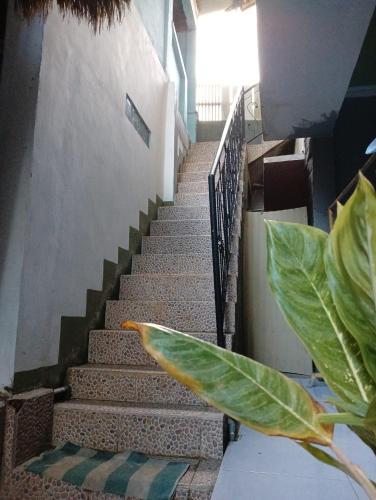 jaya homestay