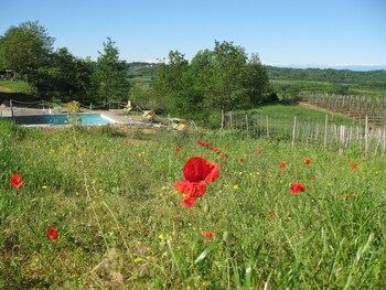 cascina ponchietta