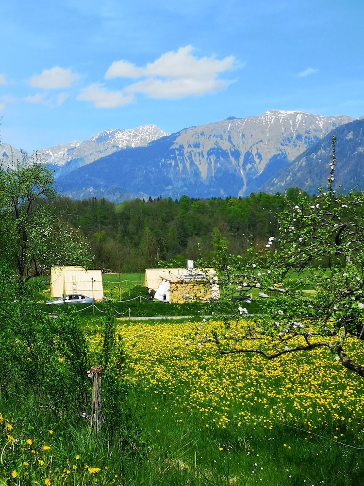 radovljica